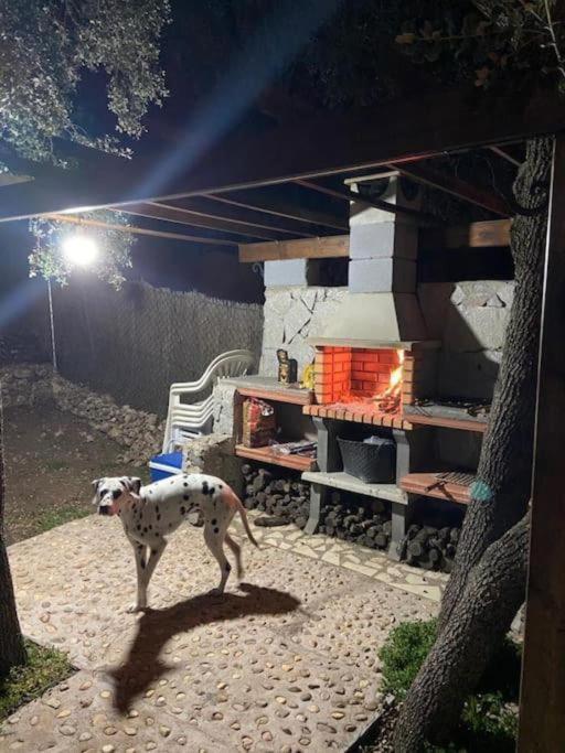 Desconexion Y Paz, Cabana En La Sierra Albalate De Zorita エクステリア 写真