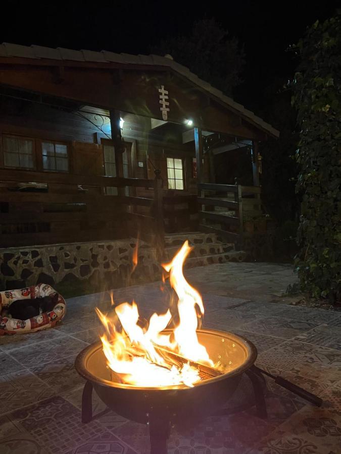 Desconexion Y Paz, Cabana En La Sierra Albalate De Zorita エクステリア 写真